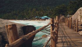 Beach in the Jungle Southern Thailand